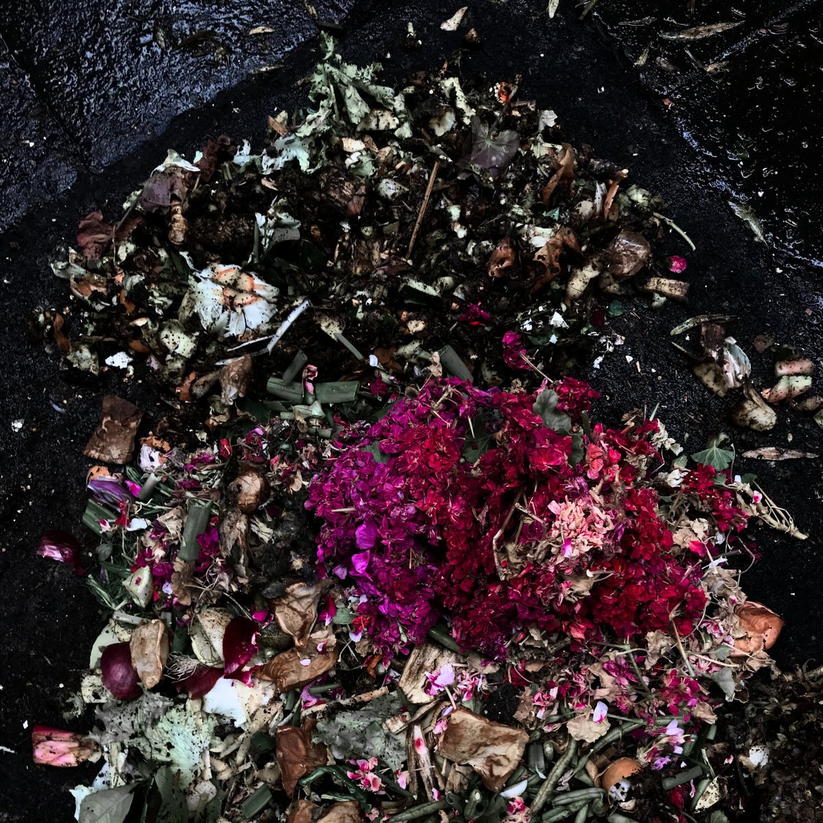 EARTHWORMS (2025) | Basel | improviser